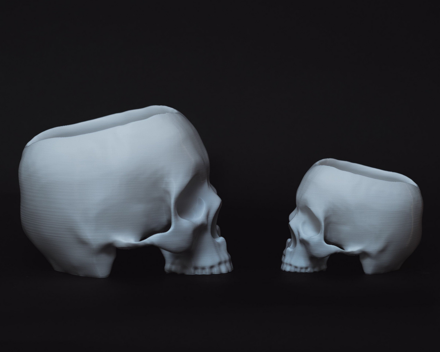 Triclops Skull Planter