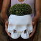 Triclops Skull Planter