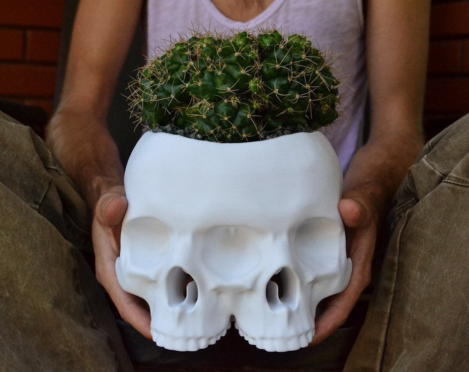 Triclops Skull Planter