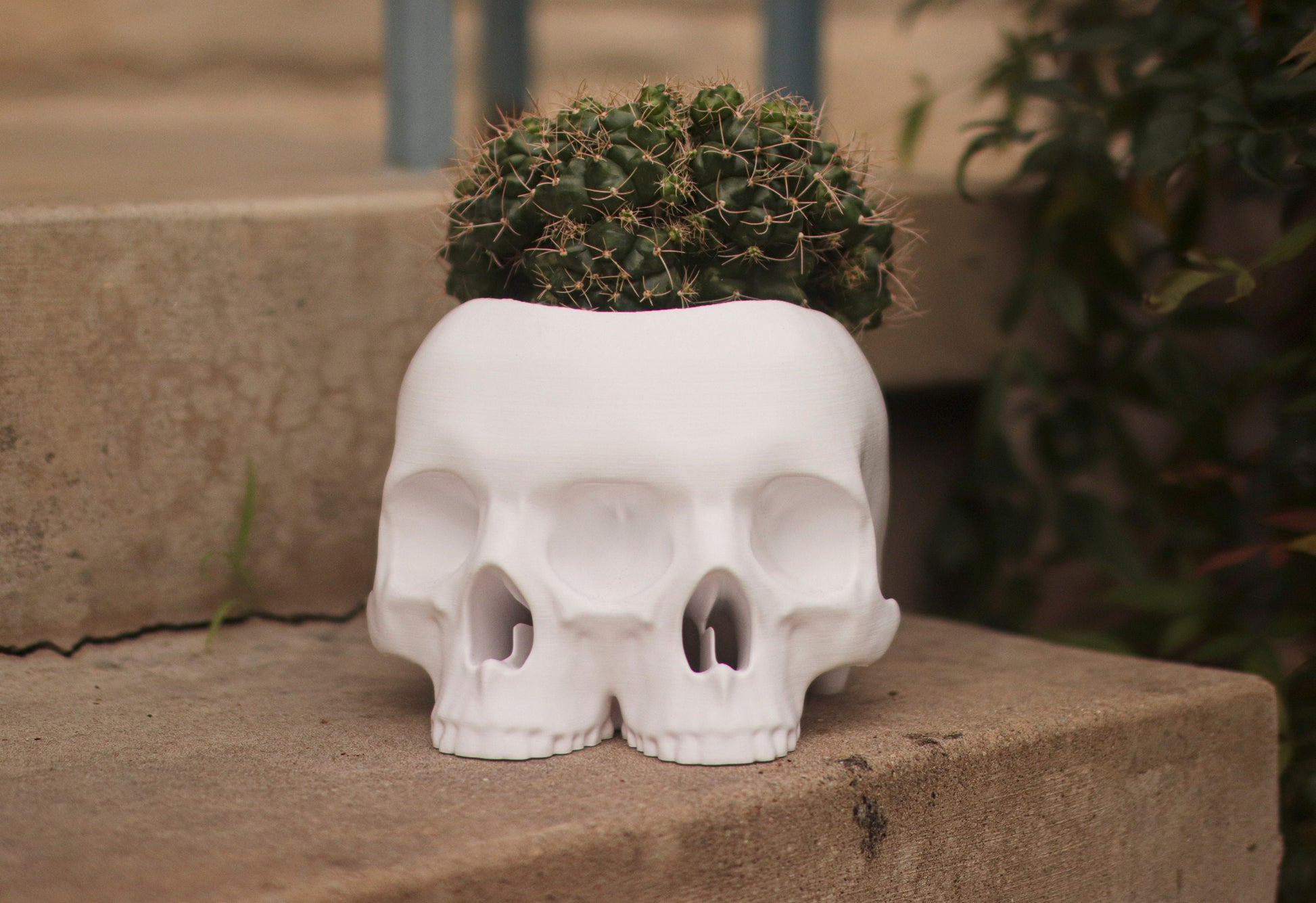 plastic skull planter Triclops Skull Planter – PRINTERROR