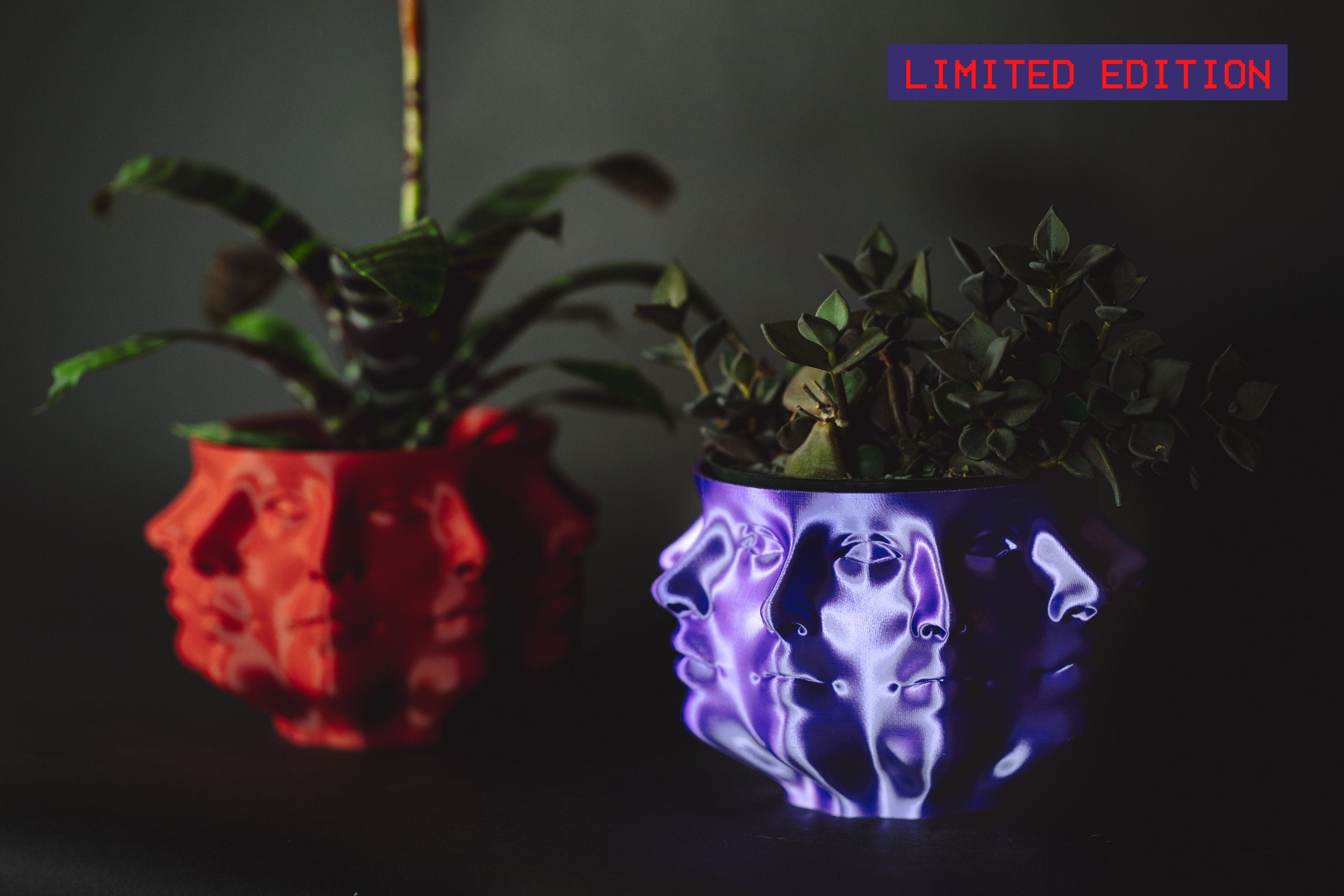 Medium 2024 Purple 3D Printed Polyface Planter